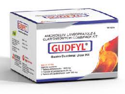 Гүдфил кит №60 шахмал Монгол Эм Импекс Концерн