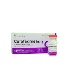 Цефотаксим 1гр №10 /Солонгос/ тарилгын нунтаг Ази фарм